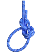 Yosemite İzbarço Bağı