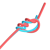 Nút phẫu thuật (Câu cá)