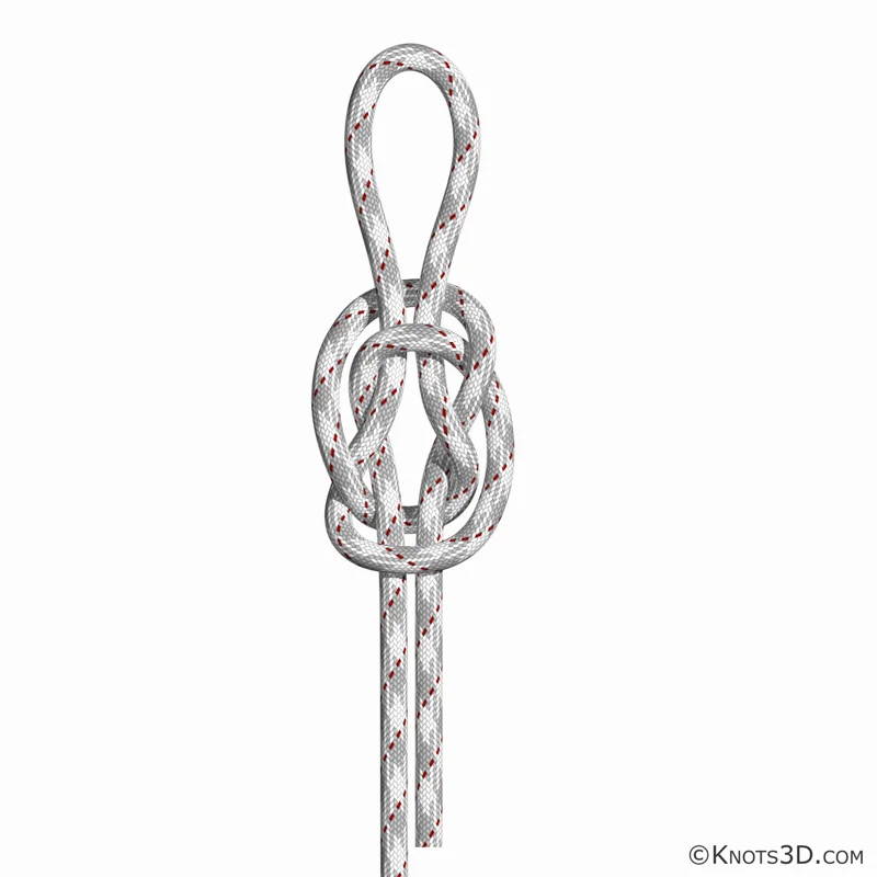 动画: 瓶口结 (绳中)