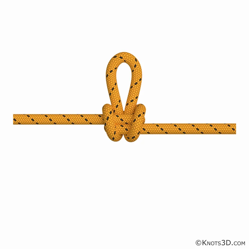 动画: 蝴蝶结 (手法)