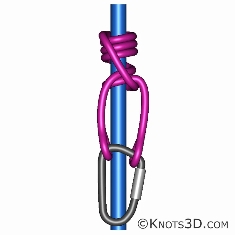 动画: 迪斯特尔结