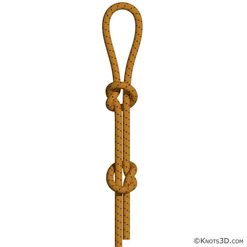 動畫: 漁人眼結