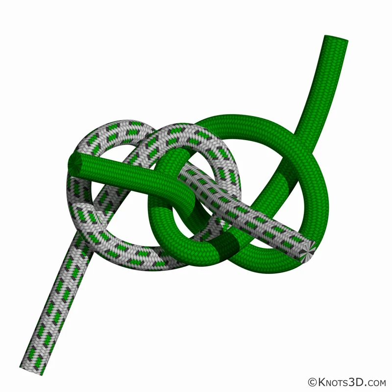 動畫: 艾許莉連接結